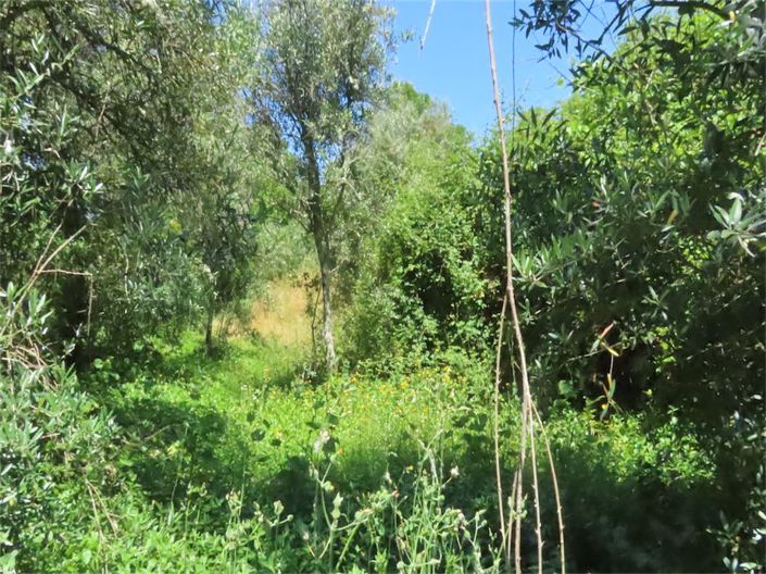 Image No.13-Property for sale