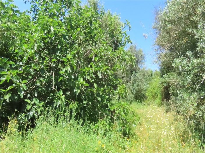 Image No.14-Property for sale