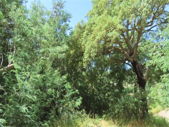 Image No.20-Property for sale