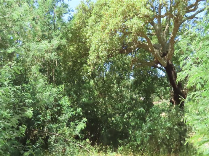 Image No.21-Property for sale