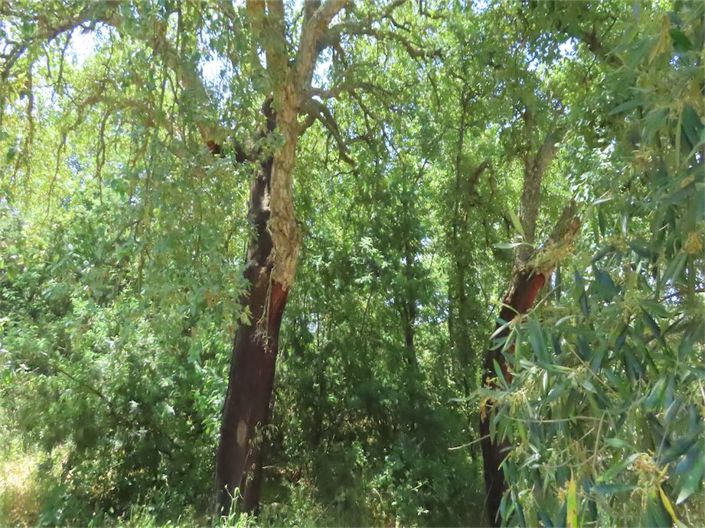 Image No.22-Property for sale