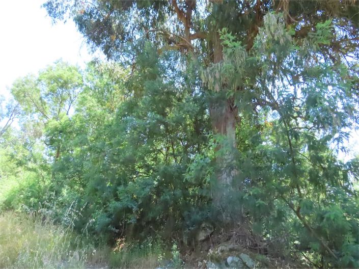 Image No.23-Property for sale