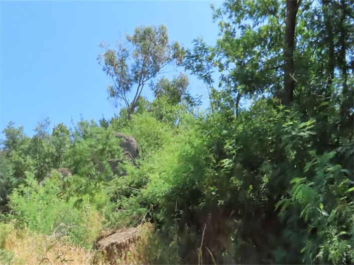 Image No.24-Property for sale