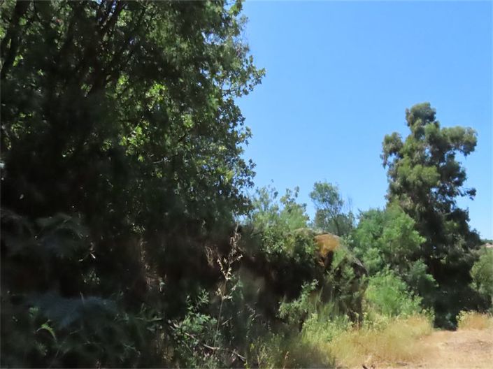 Image No.27-Property for sale