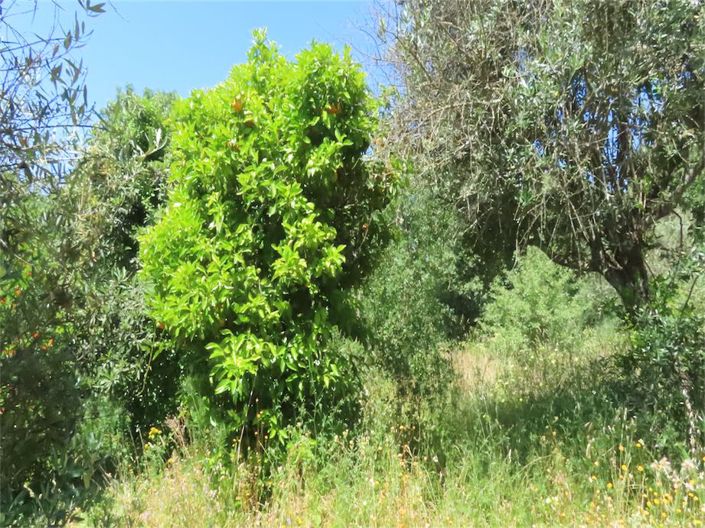 Image No.7-Property for sale