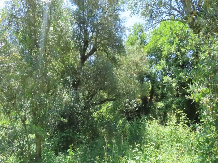 Image No.8-Property for sale