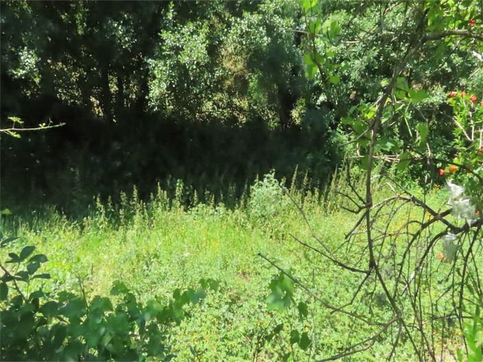 Image No.9-Property for sale