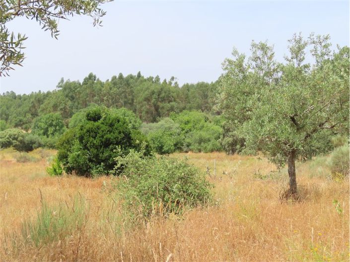 Image No.11-Property for sale