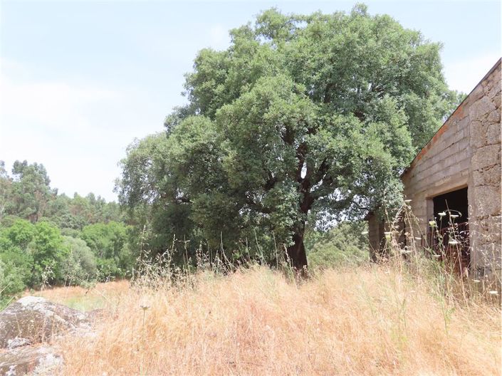 Image No.16-Property for sale