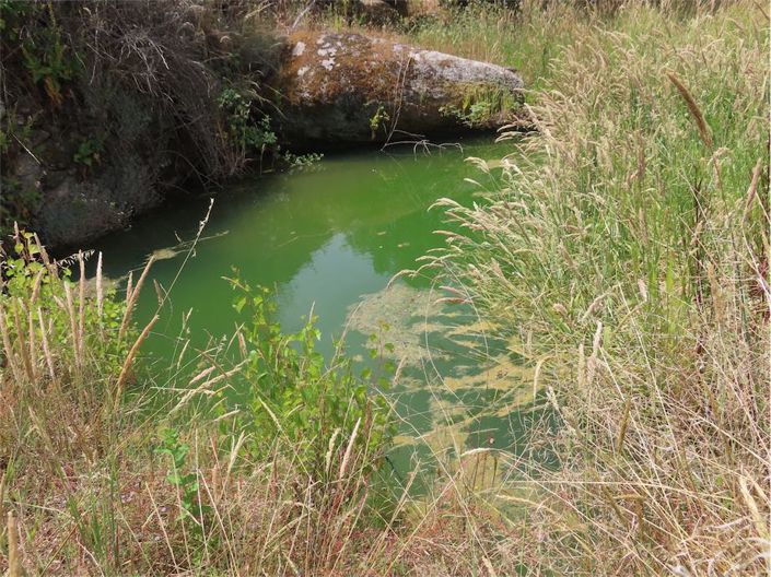 Image No.28-Property for sale