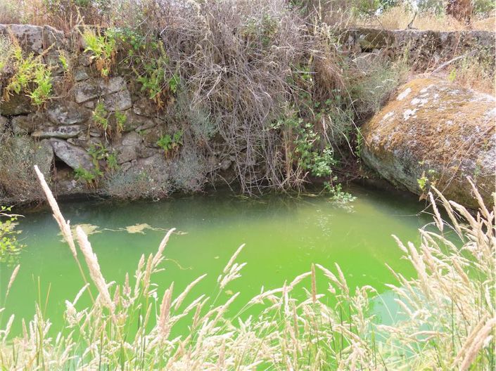 Image No.30-Property for sale