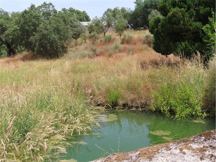 Image No.33-Property for sale