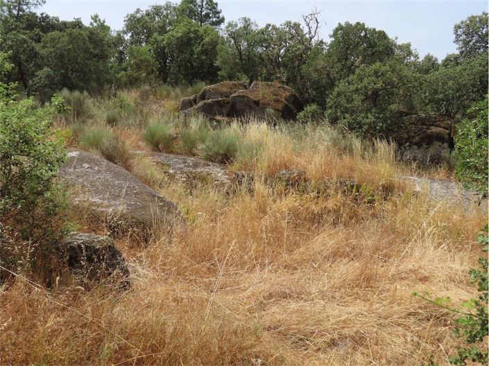 Image No.35-Property for sale