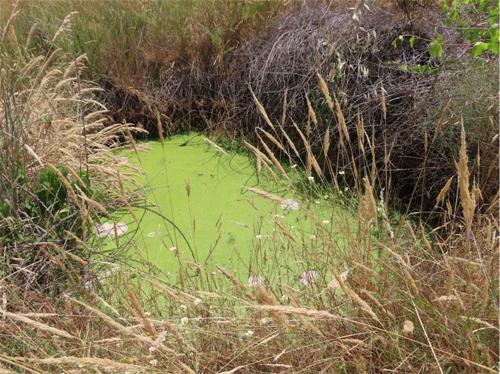 Image No.38-Property for sale