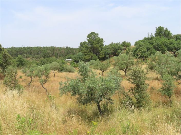 Image No.39-Property for sale