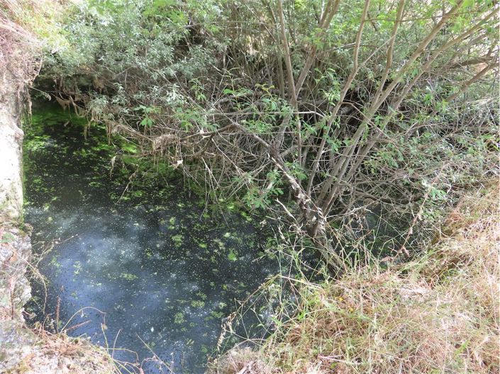 Image No.4-Property for sale