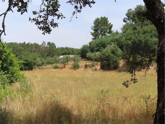 Image No.6-Property for sale