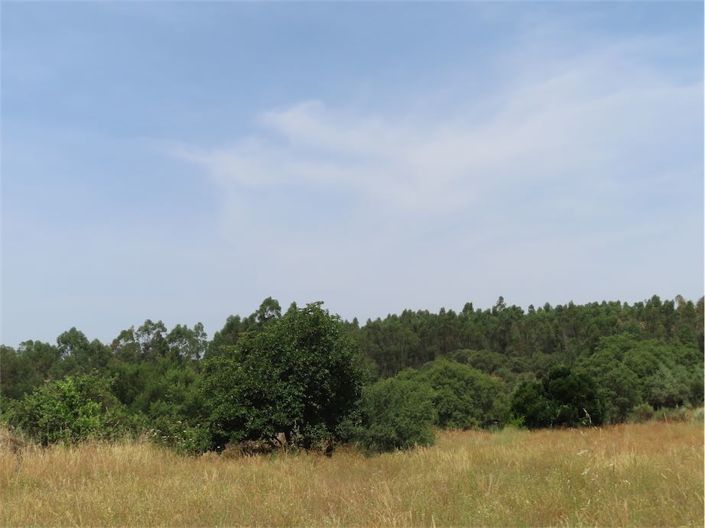 Image No.7-Property for sale