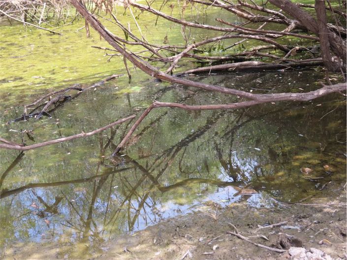 Image No.17-Property for sale