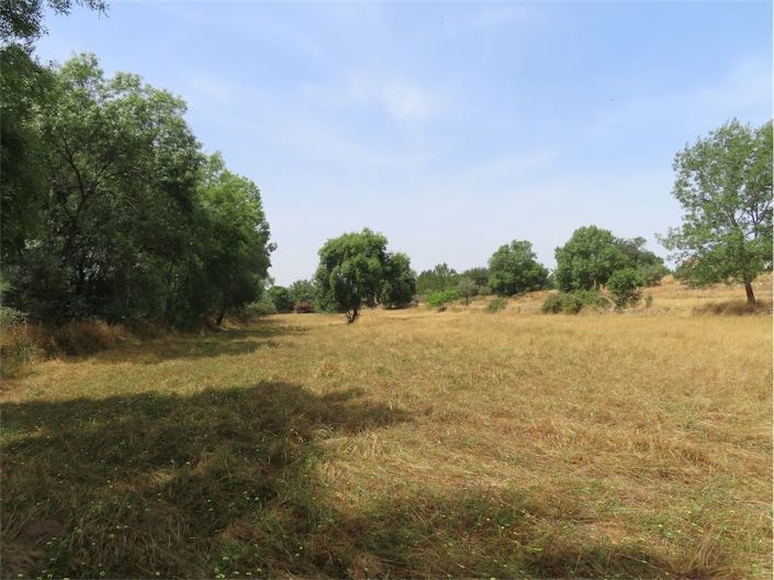 Image No.34-Property for sale