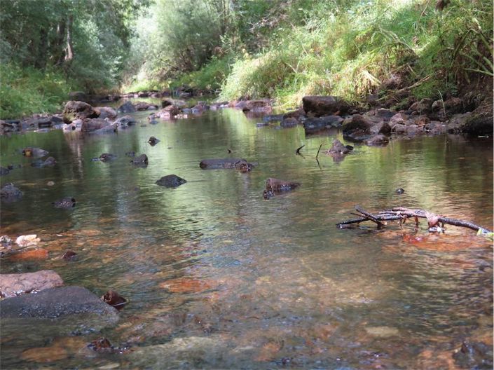 Image No.35-Property for sale