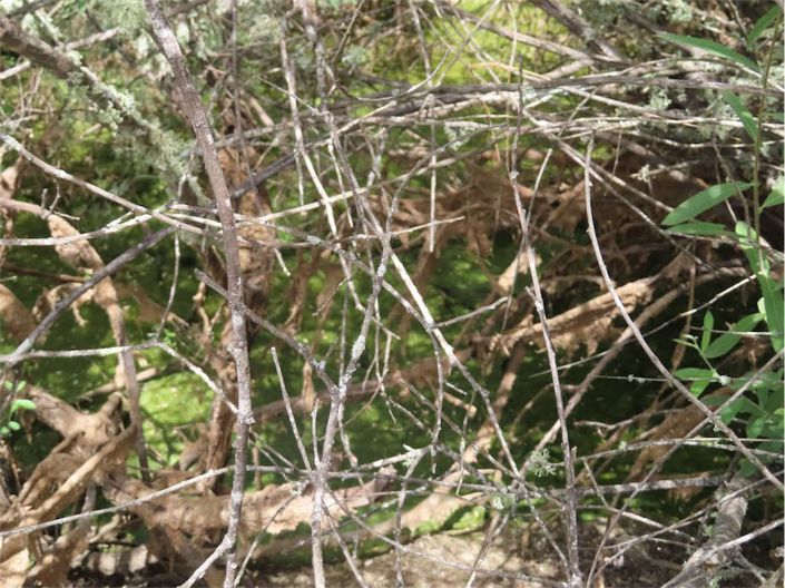 Image No.37-Property for sale