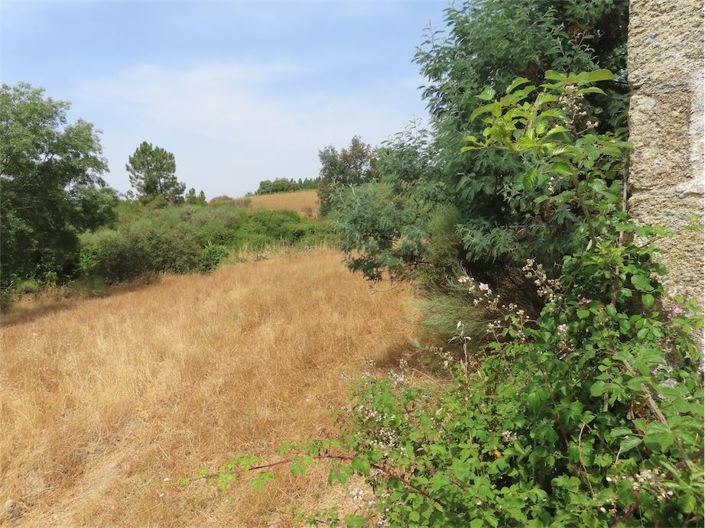 Image No.4-Property for sale