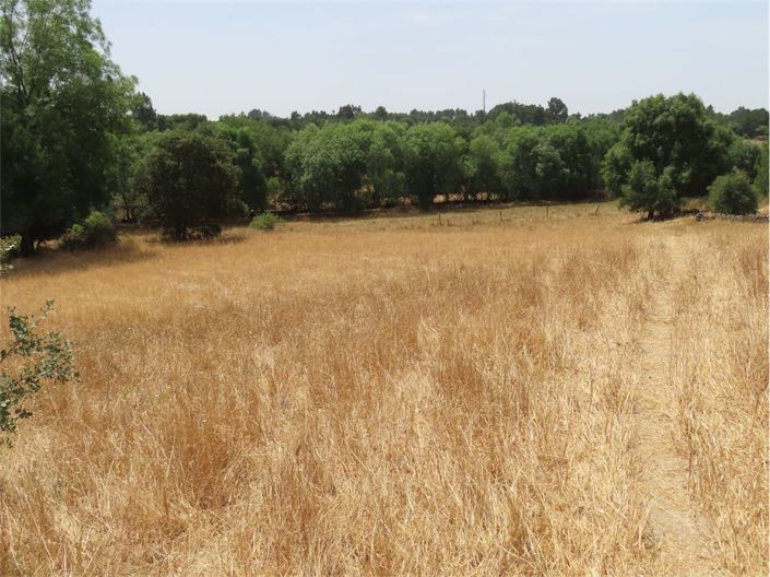 Image No.41-Property for sale