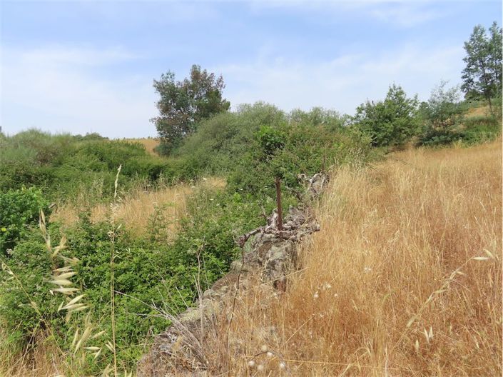 Image No.8-Property for sale