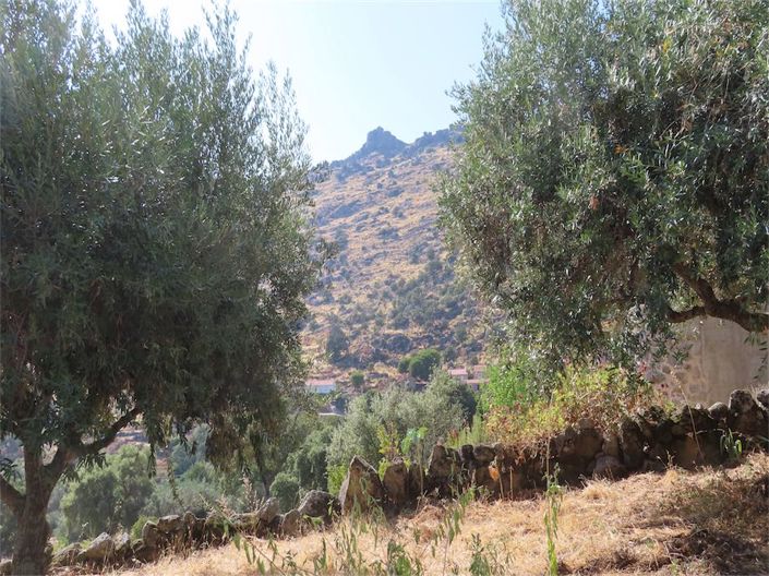 Image No.10-4 Bed Property for sale