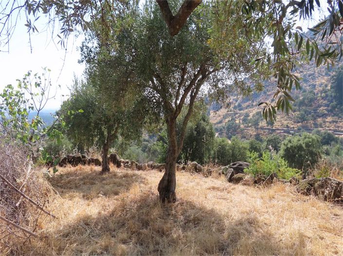 Image No.12-4 Bed Property for sale