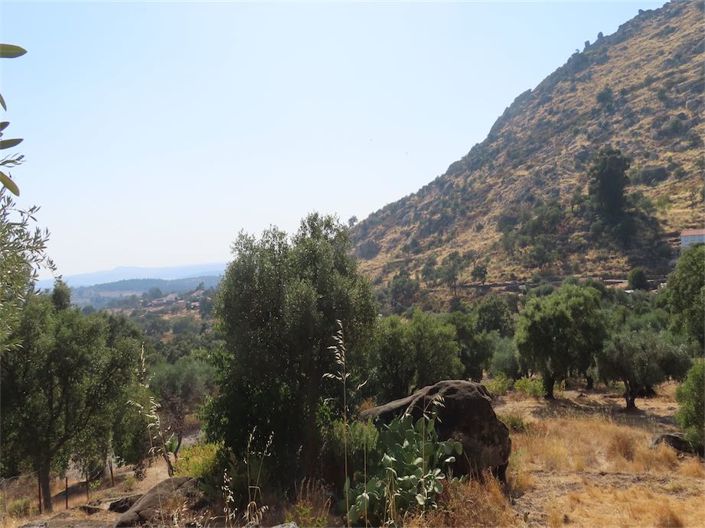 Image No.14-4 Bed Property for sale