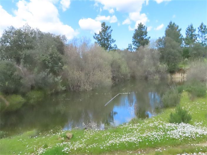 Image No.31-Property for sale