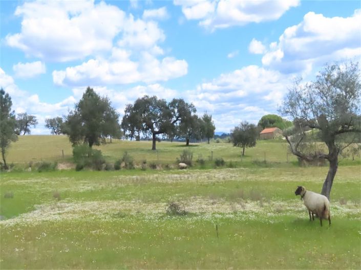 Image No.32-Property for sale