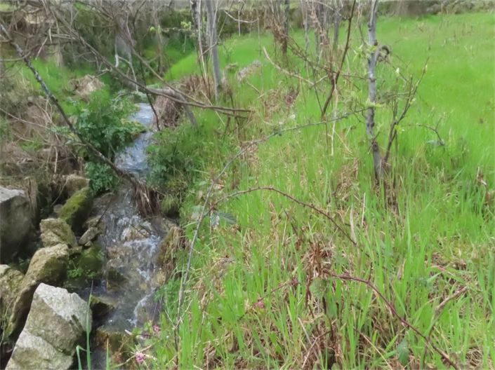 Image No.38-Property for sale