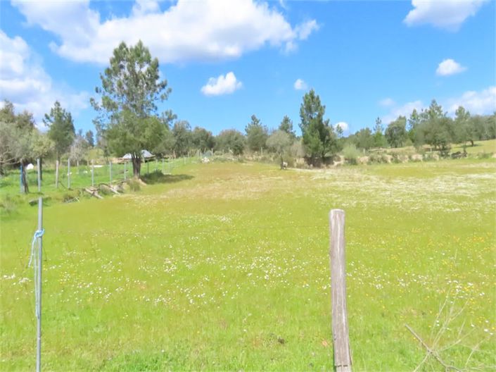 Image No.4-Property for sale