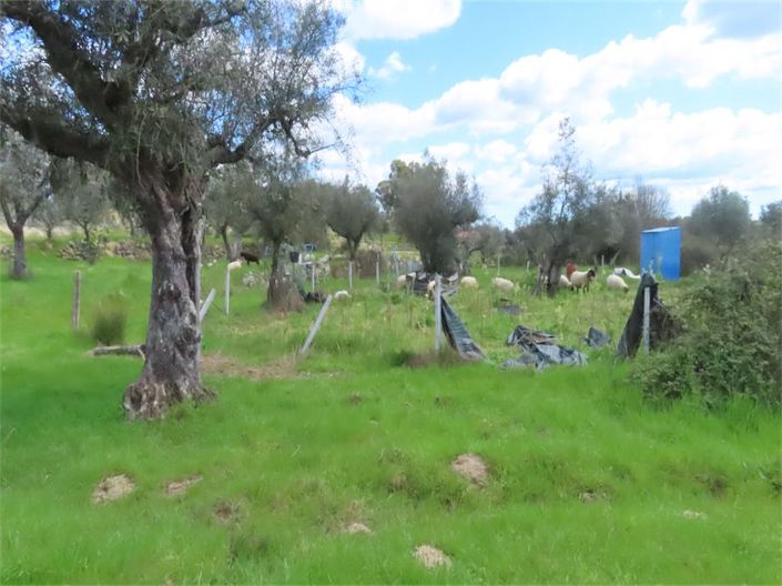 Image No.41-Property for sale