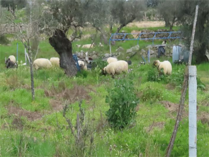 Image No.44-Property for sale