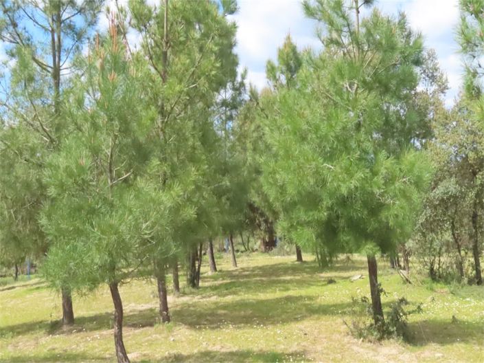 Image No.46-Property for sale