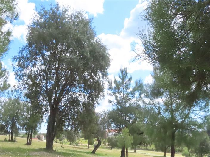 Image No.47-Property for sale