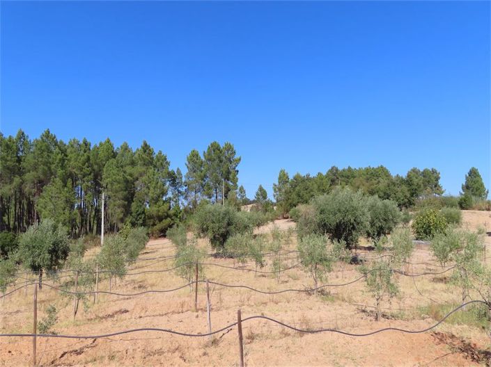 Image No.4-Property for sale