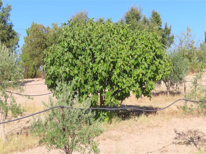 Image No.45-Property for sale