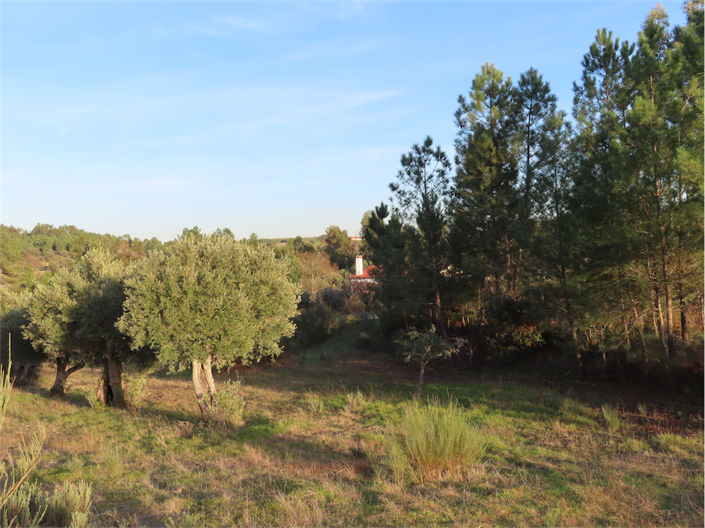 Image No.18-2 Bed Property for sale