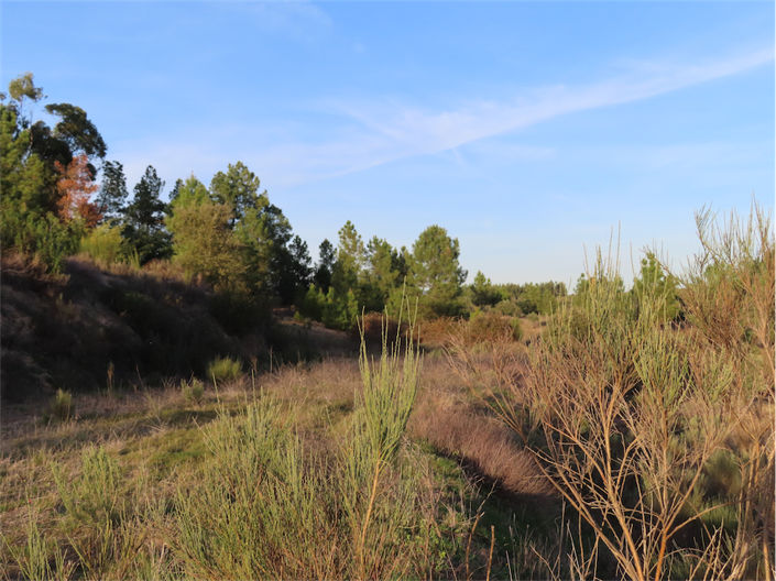 Image No.19-2 Bed Property for sale