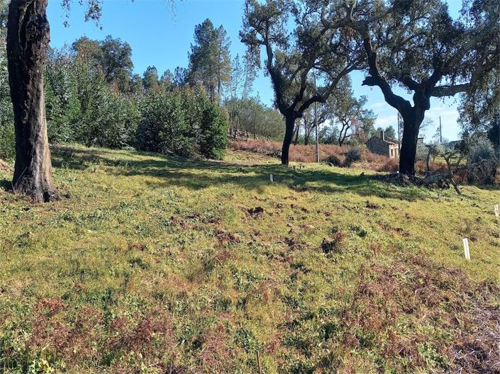 Image No.1-Property for sale