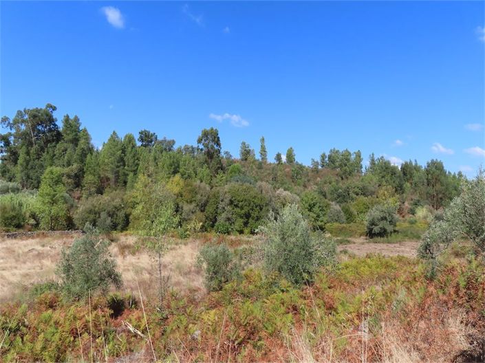 Image No.11-Property for sale