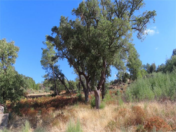 Image No.13-Property for sale