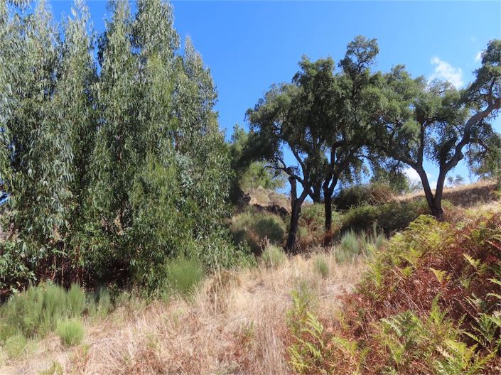 Image No.16-Property for sale