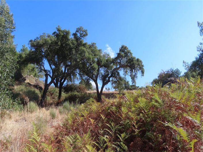 Image No.17-Property for sale