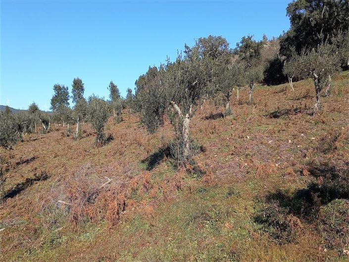 Image No.2-Property for sale